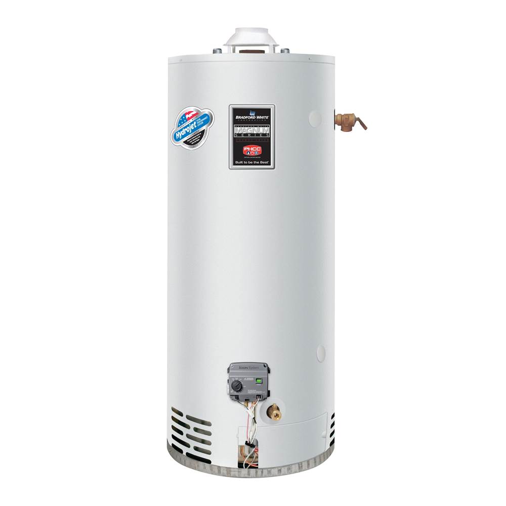 Bradford White 55 Gallon Light-Duty Commercial Gas (Natural) Atmospheric Vent Water Heater